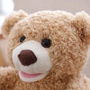 Peluche Oso Didáctico para Bebe