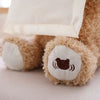 Peluche Oso Didáctico para Bebe